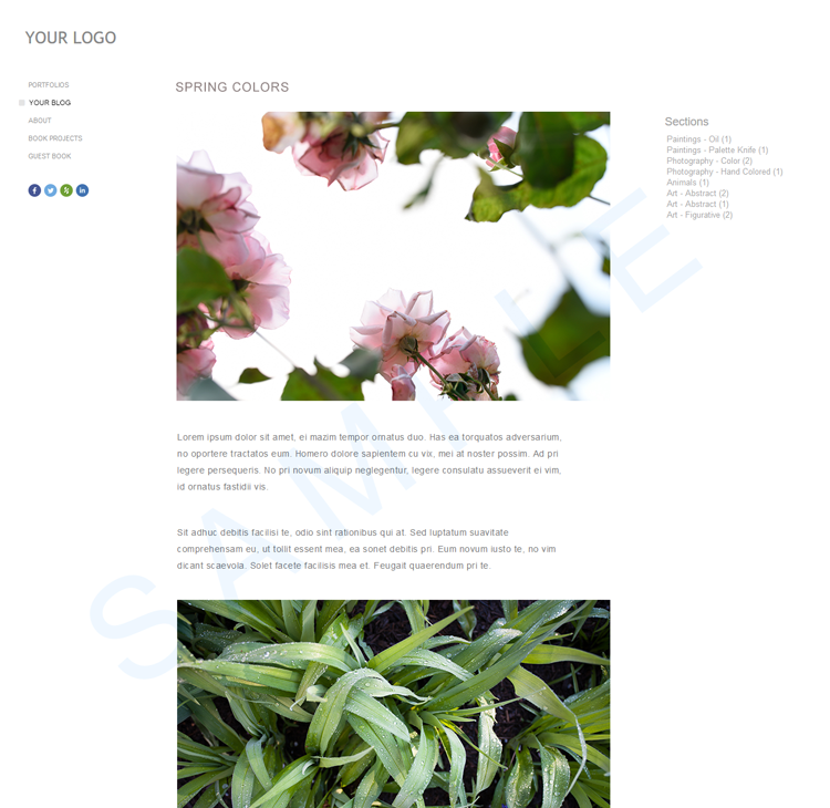 The Blog Entry Details Page