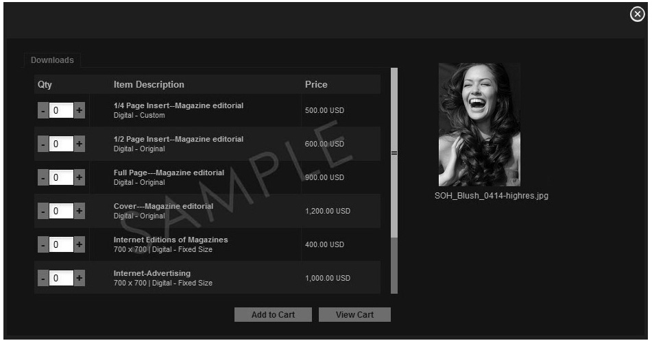 Online Sales with an Image Archive Website