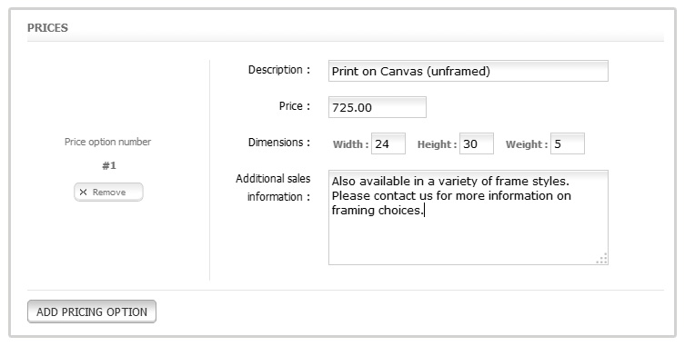 Online Sales with a Portfolio Website